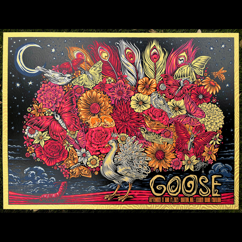 Goose poster Todd Slater peacock caterpillar moon flowers illustration art of the year