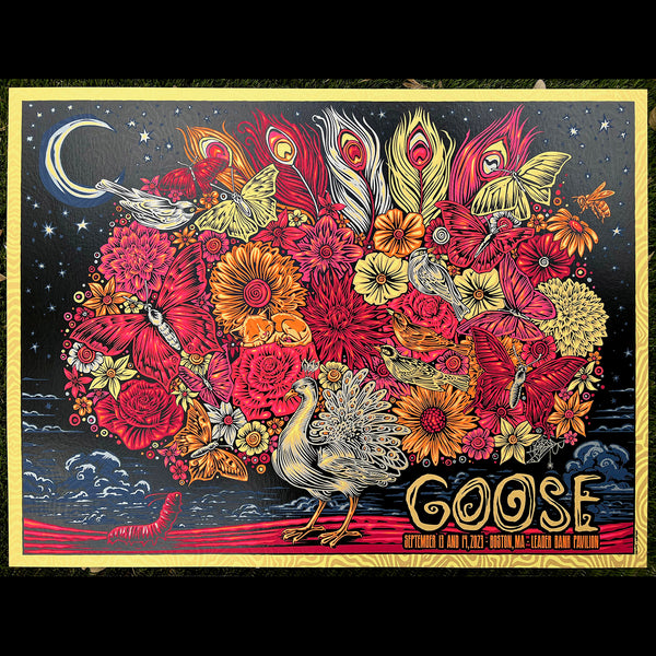 Goose poster Todd Slater peacock caterpillar moon flowers illustration art of the year