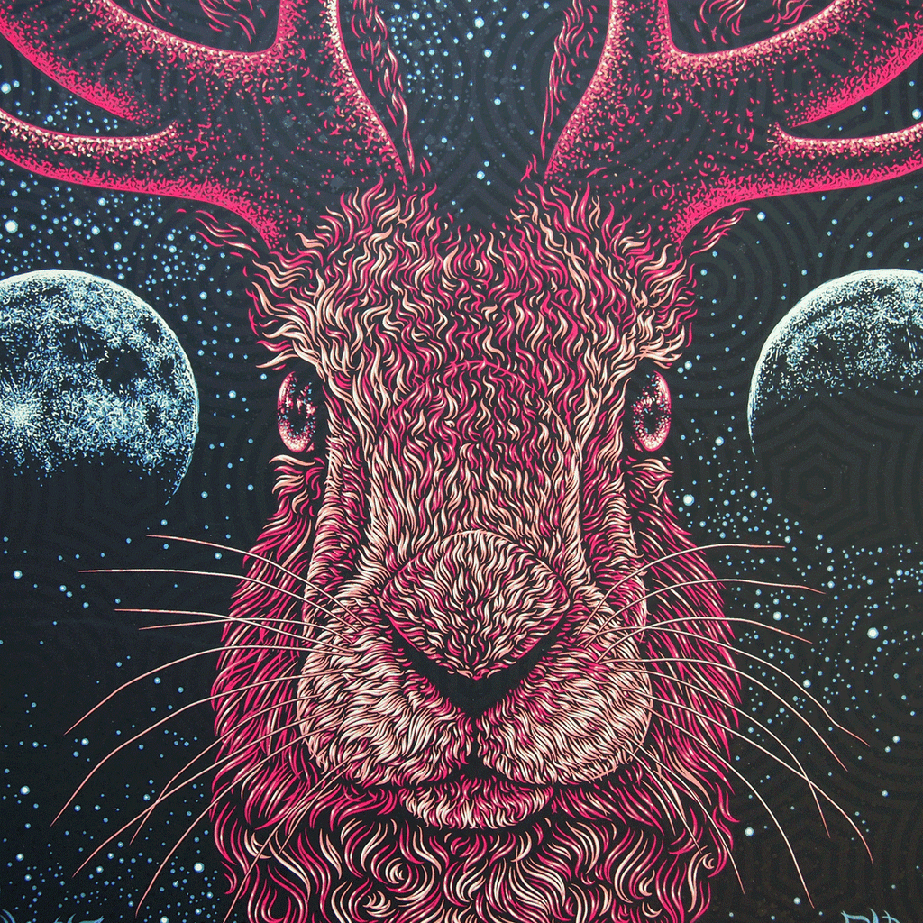 Avett Brothers - Jackalope