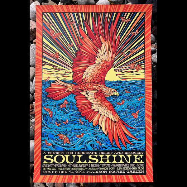 Soulshine poster Dave Matthew Band Todd Slater Madison Square Garden NYC