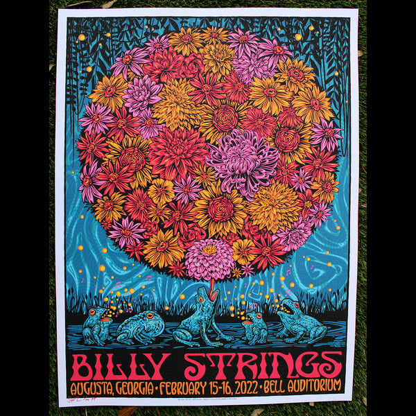 Billy Strings - frog symphony