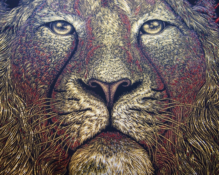 Primus - lion